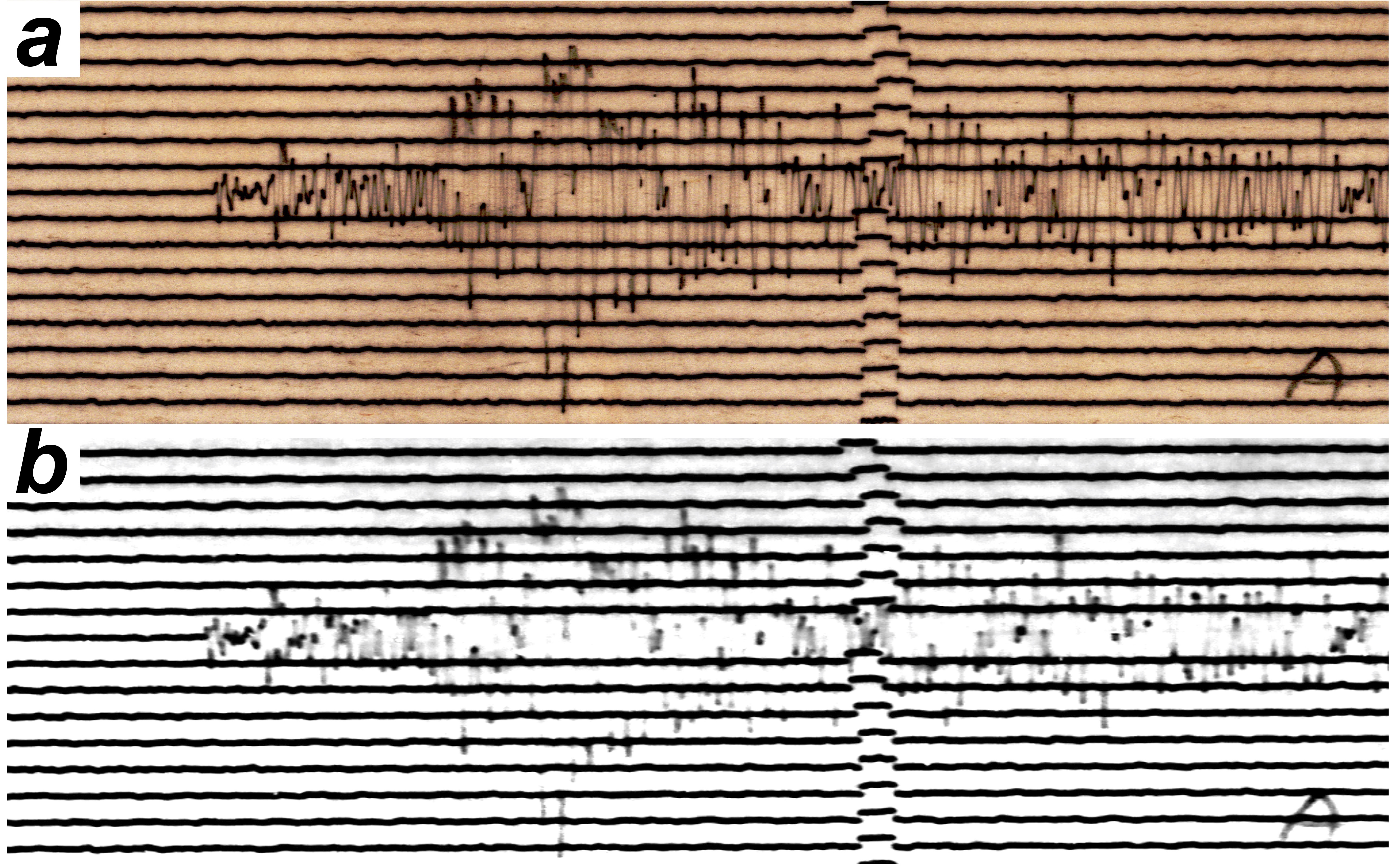 seismogram